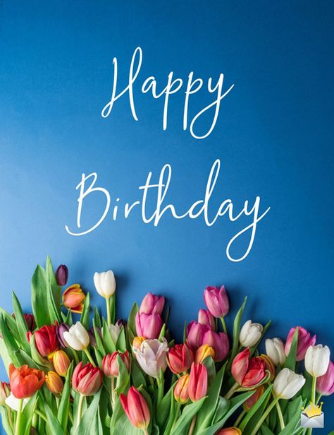 Happy Birthday Beautiful Images, Happy Birthday Friendship, Happy Birthday For Her, Birthday Wishes Flowers, Happy Birthday Beautiful, Happy Birthday Greetings Friends, Happy Birthday Wishes Images, Happy Birthday Celebration, Happy Birthday Wishes Quotes