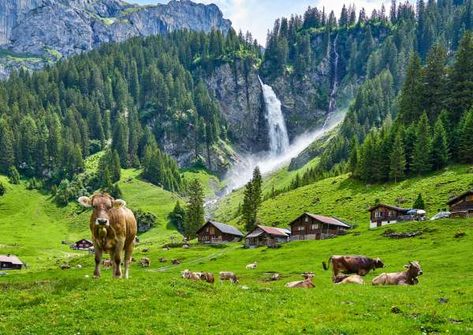 Explore Altdorf with Switzerland Tour | William Tell Monument, Capuchin Monastery Uri Switzerland, Manarola Italy, Switzerland Tour, Most Beautiful Places To Visit, William Tell, Swiss Chocolate, York Minster, Alpine Lake, Switzerland Travel