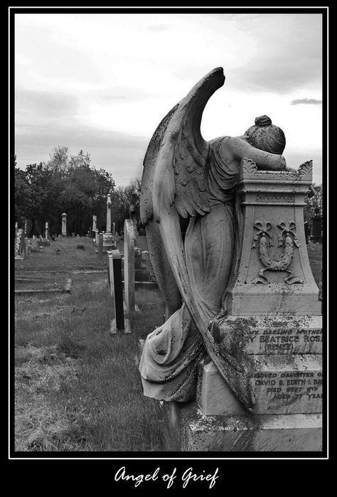 Angel of Grief Cemetery Angels, Cemetery Statues, Cemetery Headstones, Weeping Angel, I Believe In Angels, Angel Statue, Angel Sculpture, Old Cemeteries, Ange Demon