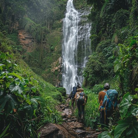 Udzungwa Waterfall Hike: A Journey Through Nature 🌿 Embark on a breathtaking hike through the lush forests of Udzungwa Mountains National Park, where the journey leads you to the magnificent Udzungwa Waterfalls. Surrounded by vibrant greenery and teeming with wildlife, hikers are treated to panoramic views and the refreshing mist of the cascading falls. 🌊🐒 It’s an adventure that combines the beauty of Tanzania’s natural landscapes with the thrill of exploration. 🌄✨ Join Easy Travel Tanzani... Waterfall Hike, Cascade Falls, Iguazu Falls, Travel Poster Design, Waterfall Hikes, Fall Hiking, Natural Landscapes, Easy Travel, 2025 Vision