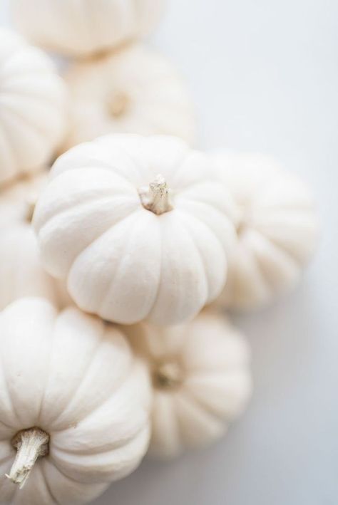 White Pumpkins Aesthetic, Pumpkins Aesthetic, Pumpkin Wallpaper, Cute Fall Wallpaper, Iphone Wallpaper Fall, Autumn Magic, Fall Background, Iphone Wallpaper Photos, Apple Watch Wallpaper