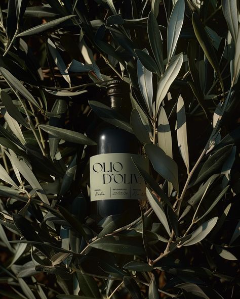 Olio D'Oliva - To celebrate the sunny weather we’ve been enjoying, we decided to draw inspiration from some projects we’ve seen online by other creators and conceptualise our own olive oil brand! Inspired by Italian olive farms and typefaces, we’ve developed a sleek yet luxurious olive oil brand. What do you think? 🫒🇮🇹 #branding #branddesign #brandidentity #oliveoilbrand #summerbrand #summertime Olive Oil Graphic Design, Olive Oil Drawing, Green Product Photography, Olive Oil Aesthetic, Olive Oil Photography, Olive Oil Design, Olive Oil Branding, Oliveda Skincare, Olive Aesthetic