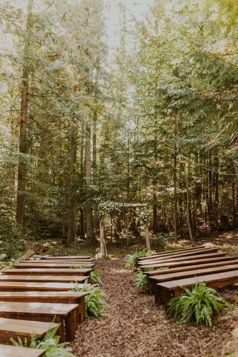 Forest Arbor Wedding, Outdoor Wedding In Woods, Moss Wedding Ceremony, Creek Side Wedding Ceremony, In The Woods Wedding Ideas, Enchanted Forest Wedding Arbor, Ceremony In The Woods, Overlook Wedding Ceremony, Forest Wedding Arbor