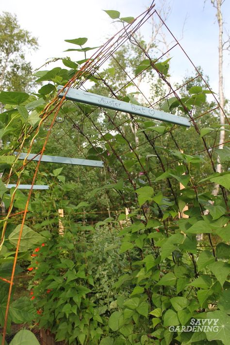 Cattle Panel Arbor, Diy Trellis Archway, Veggie Trellis, Allotment Planning, Outdoor Trellis Ideas, Cattle Panel Trellis, Panel Trellis, Garden Arch Trellis, Garden Transformation