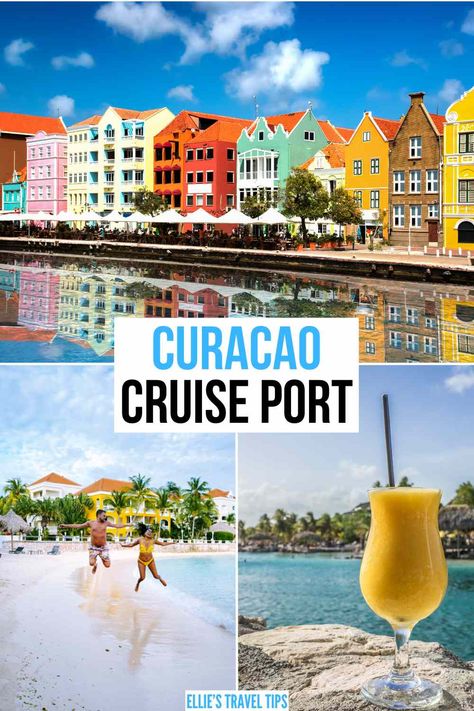 Curacao Cruise Port: 40  Things to Do & Logistics! Curacao Cruise Port, Sea Aquarium, Willemstad, Offroad Jeep, Family Cruise, Cruise Port, Windsurfing, Cultural Experience, Caribbean Sea