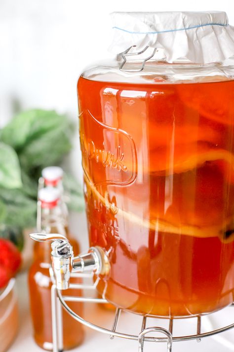 HOW TO MAKE KOMBUCHA AT HOME - NINNESCAH HOMESTEAD Ninnescah Homestead, Make Kombucha, Kombucha Starter, Homemade Kombucha, Big Jar, Fermented Tea, Best Probiotic, Raising Backyard Chickens, High Sugar