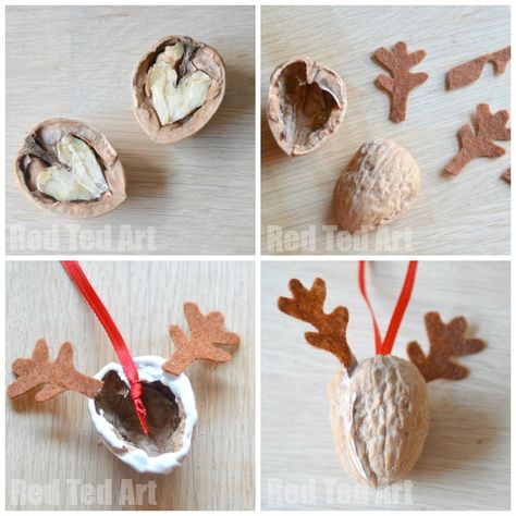 Walnut Crafts, Walnut Shell Crafts, Natal Natural, Red Ted Art, Bird Christmas Ornaments, Reindeer Ornament, Diy Christmas Tree Ornaments, Reindeer Ornaments, Wooden Christmas Ornaments