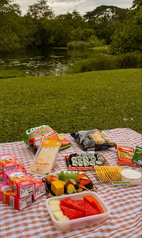 Jessa Aesthetic, Kiki Core, Mallory Aesthetic, Picnic Aesthetics, Lake Picnic, Lifestyle Manifestation, Painting Picnic, Picnic Scene, Apartment Things