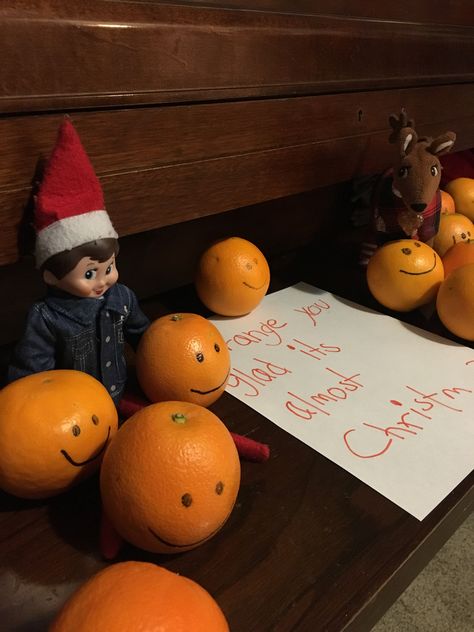 Elf Oranges, Elf With Oranges, Elf On The Shelf Oranges, Elf Idea, Elf Shenanigans, Elf Ideas Easy, Easy Elf On The Shelf, Easy Elf, Almost Christmas