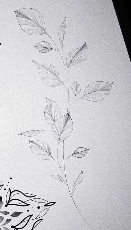 Blatt Tattoos, Henne Tattoo, Floral Thigh Tattoos, Minimal Tattoo Design, Branch Tattoo, Vine Tattoos, Tattoo Lettering Fonts, Cute Tiny Tattoos, Floral Tattoo Design