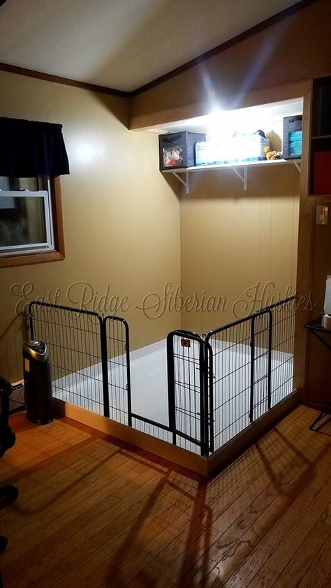 Indoor Dog Room Ideas, Puppy Pen Ideas Indoor Diy, Dog Pen Area Indoor, Dog Area Ideas Indoor, Dog Whelping Room Ideas, Rabbit Indoor House Ideas Small Space, Puppy Area Indoor Apartment, Indoor Dog Area Ideas, Puppy Pen Ideas Indoor Small Space