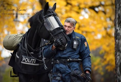 Mounted Police Horses, Police Horse, The Protector, Detroit Become Human, Policeman, Horse Tack, A Horse, Beautiful Horses, Law Enforcement