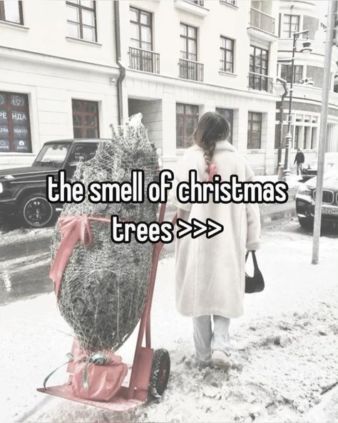 New Boyfriend Quotes, Christmas Whispers, Boyfriend Quotes Funny, Cute Christmas Ideas, Real Memes, Christmas Smell, Unique Holiday Decor, Christmas Dreaming, Merry Christmas Ya Filthy Animal