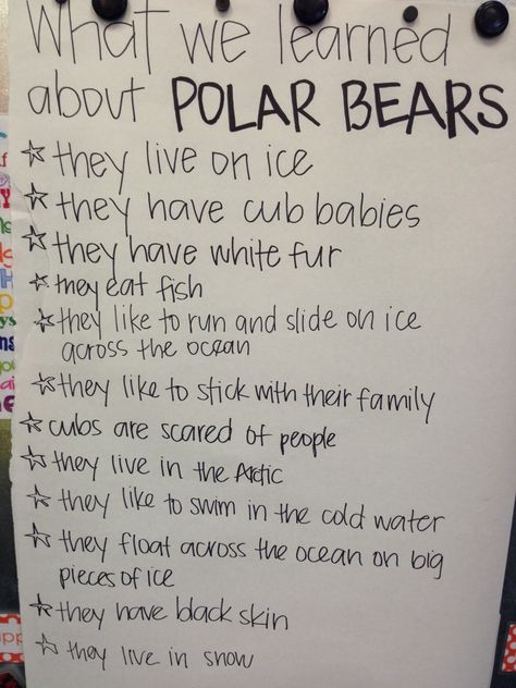 What did YOU learn about Polar Bears Polar Bear Snacks For Preschool, Arctic Animals Preschool Activities, Polar Bears Preschool, Bear Crafts Preschool, Polar Bear Unit, Polar Bears Activities, Arctic Animals Preschool, Polar Bear Facts, Polar Bear Paw