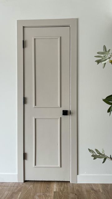 Basic Door Makeover, Bedroom Doors Painted, Updating Plain Interior Doors, Doors Interior Color Ideas, Wood Door Colour Ideas, Flat Doors Makeover, Door Different Color Than Trim, Entry Way Doors Inside, Wall Trim And Door Colors