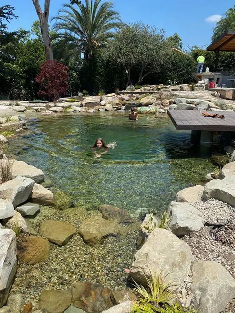 a natural swimming pool clad with stone around, with a wooden deck over it and nothing else looks as if it was always there Bio Pool, Swimming Ponds, Swimming Pool Pond, Natural Swimming Ponds, Diy Pond, Diy Swimming Pool, Swimming Pond, Natural Pond, Natural Swimming Pools