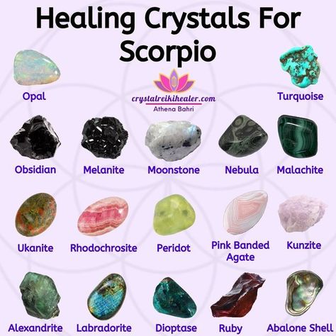 Crystals For Scorpio, Eclipse Season, Love Stones, Crystal Healing Chart, Witchy Tips, Reiki Healer, Scorpio Zodiac Facts, Scorpio Season, Magic Stones