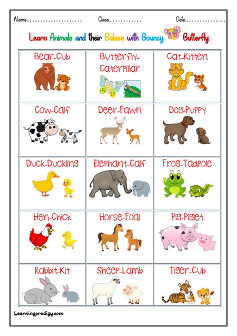 Animals and Babies| Young Ones Chart with Pictures - LearningProdigy - Charts - Animals And Their Young Ones, Young Ones Of Animals, Preschool Body Theme, Animals And Their Homes, Farm Animals Preschool, Baby Chart, Baby Animal Names, Senses Preschool, Body Chart