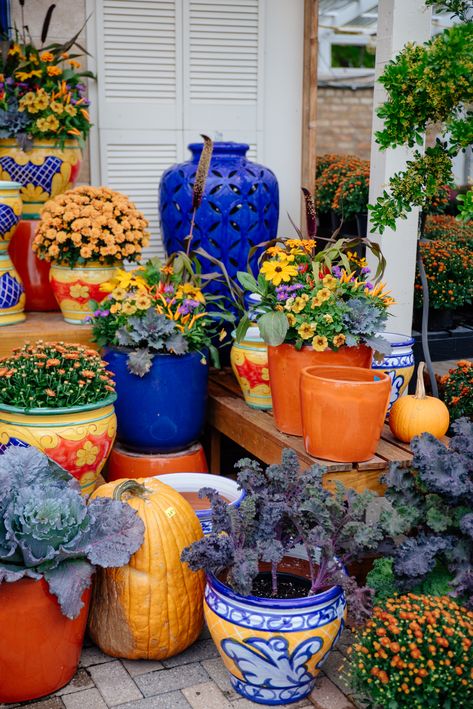 Fall display with gorgeous ceramic glazed pots in blue and orange, paired with decorative cabbage and mums. Southwest Courtyard, Blue And Orange Fall Decor, Orange And Blue Combination, Blue Outdoor Decor, Yellow Planter, Patio Gardening, Nice Flowers, Fall Containers, Blue Planter