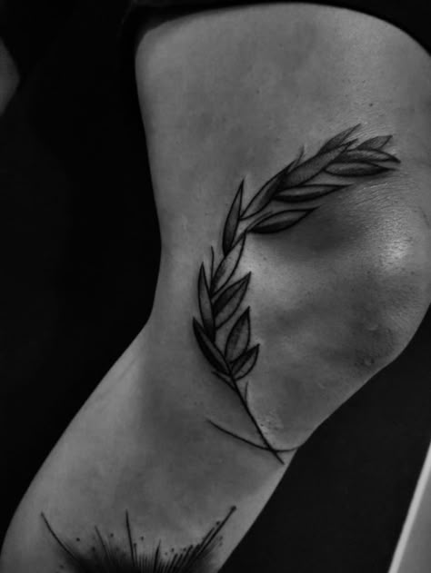 Olive Branch Tattoo Mens Knee, Knee Olive Branch Tattoo, Knee Branch Tattoo, Roman Wreath Tattoo, Tattoos Olive Branch, Olive Branch Knee Tattoo, Tattoo Olive Branch, Olive Branch Tattoo Mens, Roman Tattoo Ideas