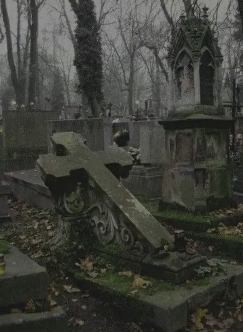 Gothic Cemetery Aesthetic, Southern Gothic Graveyard, Gothic Southern Aesthetic, Mortuary Aesthetic, Grave Aestethic, Grave Aesthetic, Cemetery Aesthetic, Graveyard Aesthetic, Abandoned Aesthetic