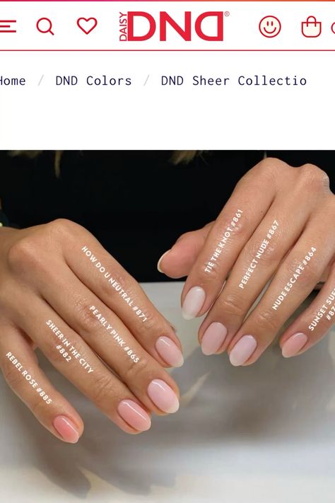 DND Sheer shades #nails #gelnails #dnd #dndgel Dnd Gel Sheer Collection, How Do U Neutral Dnd, Dnd Bare Pink, Opi Dusk Till Dune, Sheer Neutral Nail Polish, Sheer Dnd Gel Polish, Sheer Neutral Nails, Dnd Soft Tulips, Dnd Sheer In The City