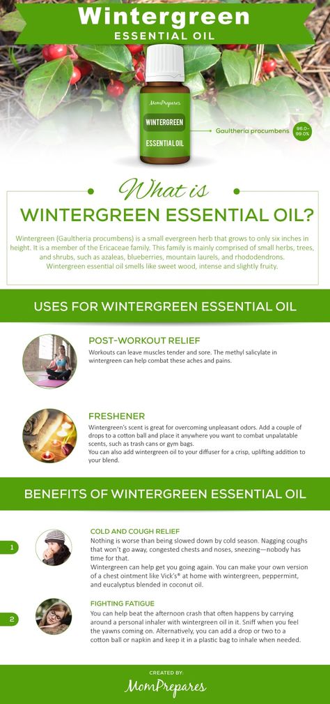 Wintergreen infographic Wintergreen Essential Oil, Matcha Benefits, Lemon Benefits, Coconut Health Benefits, Benefits Of Coconut Oil, Types Of Tea, Matcha Green Tea, Young Living, Doterra