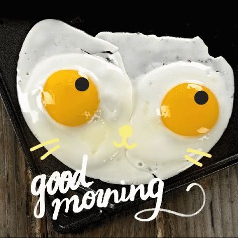 Good Morning Eggs GIF - GoodMorning Eggs Breakfast - Discover & Share GIFs Funny Good Morning Memes, Images Emoji, Good Morning Love Gif, Morning Memes, Good Morning Animation, Cute Good Morning Quotes, Good Morning Cards, Morning Gif, Cute Good Morning