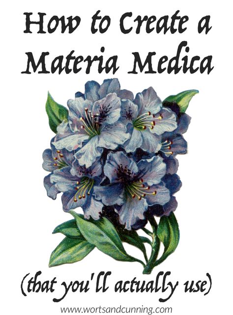 how to make a materia medica herb book Herbal Apothecary List, Materia Medica Diy, Materia Medica Journal Ideas, Herbal Materia Medica, Herbal Materia Medica Template, Spiritual Herbalism, Tea Apothecary, Herbalist Recipes, Herbal Crafts