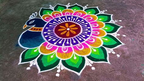 easy peacock rangoli design Peacock Kolam Design, Panchuka Rangoli, Roopchaudas Rangoli, Rangilo Design Easy, Simple Big Rangoli Designs, Peacock Rangoli Designs Diwali Latest, Rangoli Peacock Design, Roop Chaudas Rangoli, Peacock Rangoli Designs Easy