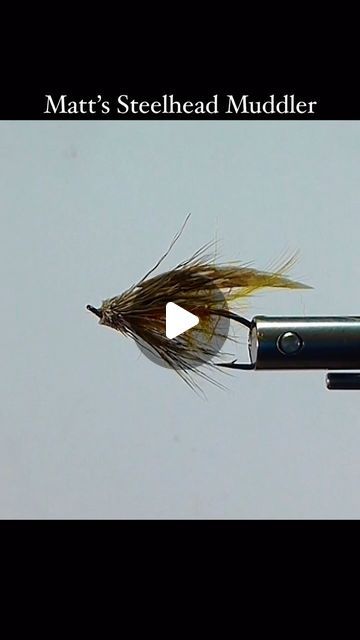 Sport Fishing On The Fly on Instagram: "Brent Schlenker, the Fly Tyin’ Cowboy, ties Matt’s Steelhead Muddler. Excellent pattern for Steelhead, Trout, and Pacific Salmon.

Watch the FULL version on our YouTube Channel or website (member section).
.
.
.
.
.
#dryfly #troutflies #flytyingnation #flyfishingbc #sfotf #sportfishingonthefly #troutfly #flytying #flyfishing #hardyflyfishing #mauijim #troutwaters #authentictshirtcompany #firsttelleriumcorp #humminbirdfishing #welovehardyflyfishing" Steelhead Fly Tying Patterns, Pacific Salmon, Steelhead Trout, Steelhead Flies, Fly Tying Patterns, T Shirt Company, Maui Jim, Sport Fishing, The Fly