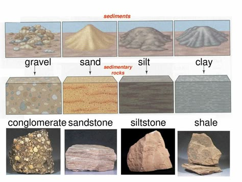 Geology Notes, Geology Major Aesthetic, Geology Cross Section, Geology Art, Stratigraphy Geology, Formation Of Sedimentary Rocks, Environmental Scientist, Rock Identification, Igneous Sedimentary Metamorphic Rocks