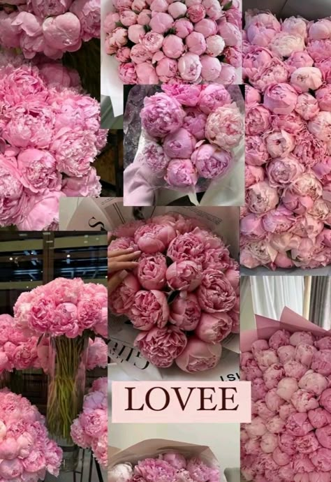 Peonies Aesthetic, Flowers Photography Peonies, Travel Photography Aesthetic, Peony Aesthetic, Luxury Flower Bouquets, Pinterest Art, Christmas Themes Decorations, Nothing But Flowers, Peonies Bouquet