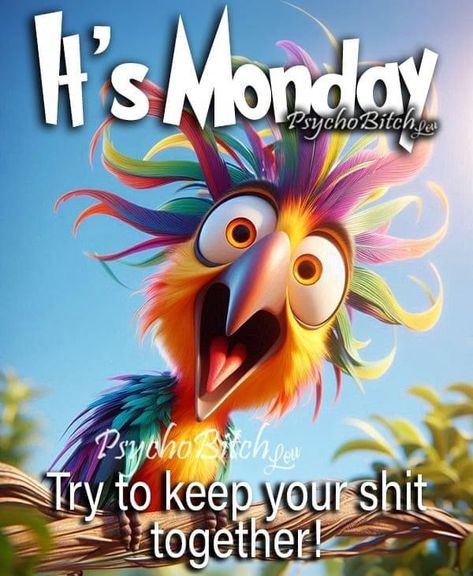 Monday Morning Quotes Humor, Hello Monday Quotes, Weekday Humor, Funny Monday Quotes, Monday Morning Humor, Monday Funny, Monday Humor Quotes, Monday Morning Quotes, Cartoon Frog