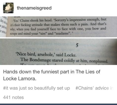 So true! I burst out laughing when I read this part! Lock Lamora, The Lies Of Locke Lamora, Locke Lamora, Land Of Stories Memes Funny, Kingkiller Chronicles, The Kingkiller Chronicles, Librarian Memes, Book Lovers Meme Hilarious, Library Memes Funny