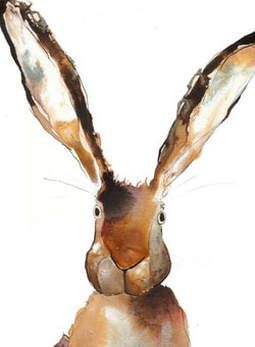 Hare Portrait, Catherine Rayner, Rabbit Art, Bunny Art, Art Et Illustration, Arte Animal, Watercolor Inspiration, Art And Illustration, White Rabbit