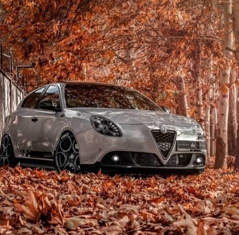 Alfa Romeo Guiletta, Urban Survival Kit, Alpha Romeo, Fantasy Cars, Alfa Alfa, Ford Roadster, Alfa Romeo Giulietta, Alfa Romeo Cars, Fiat Abarth