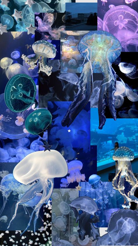 Jellyfish, Nyx, Mood Boards, Fish, Anime, Pins, Quick Saves