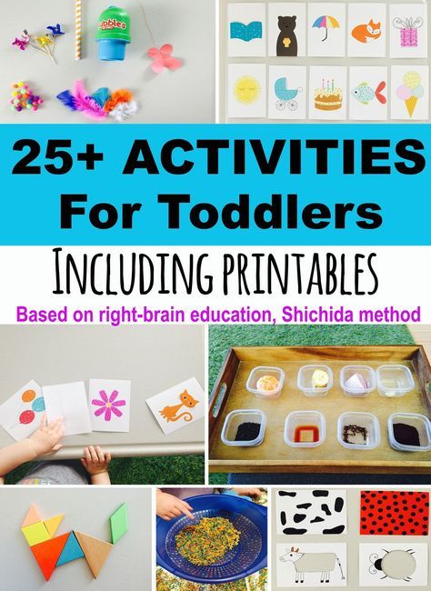 25+ toddler activities, free printables. development promoting toddler activities, activities for 20 month olds, activities for two year olds, activities for three year olds, toddler printables, activities for 21 month olds, activities for 22 month olds, shichida, memory game Shichida Method, Toddler Education, Activities For Children, Development Activities, Right Brain, Toddler Play, Toddler Learning Activities, Brain Activities, Toddler Fun