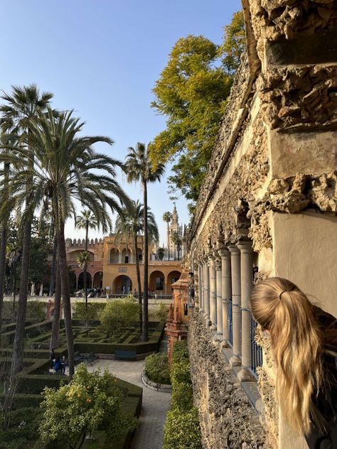 Palmtrees Aesthetic, Spain Aesthetics, Alcazar Seville, Spain Aesthetic, Sevilla Spain, Spain Holidays, Seville Spain, Europe Summer, Foto Ideas Instagram