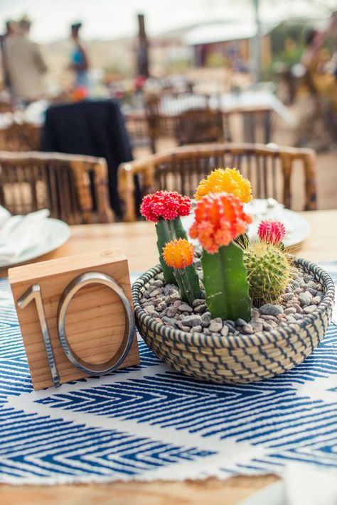 Cactus centerpieces in bright colors = desert wedding vibes | Amelia Lyon Photography Cactus Centerpiece, Non Floral Centerpieces, Desert Chic, Summer Centerpieces, Cactus Wedding, Fiesta Wedding, Fiesta Theme, Boda Mexicana, Unique Wedding Flowers