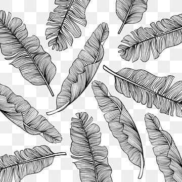 banana leaf,leaf,shading,line,leaf clipart,line clipart Leaf Shading, Line Clipart, Line Png, Leaf Clipart, Leaf Drawing, Leaf Background, Striped Background, Banana Leaf, Clipart Images