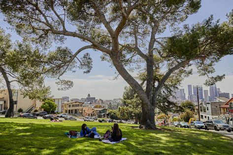 The Best Picnic Spots In LA - Los Angeles - The Infatuation Picnic Spots In Los Angeles, Nature Snacks, Cali Aesthetic, World Beautiful Places, Sand Volleyball Court, Los Angeles Parks, San Gabriel Mountains, Theres No Place Like Home, San Gabriel Valley