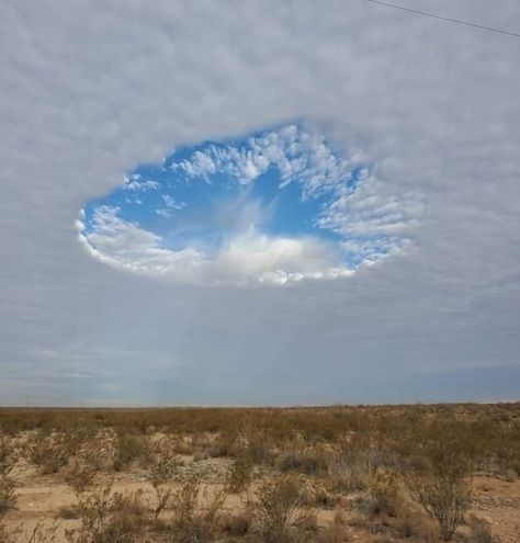 HOW COOL IS THIS?! Called a "hole punch" cloud or fallstreak hole. Spotted over Texas this week! Credit: Bryan Mann 👀🛸 Fallstreak Hole Clouds, Pecos Texas, Environment References, Mammatus Clouds, Sky Gazing, Dreamy Clouds, Dream Core, Weather Science, Cloud Formations