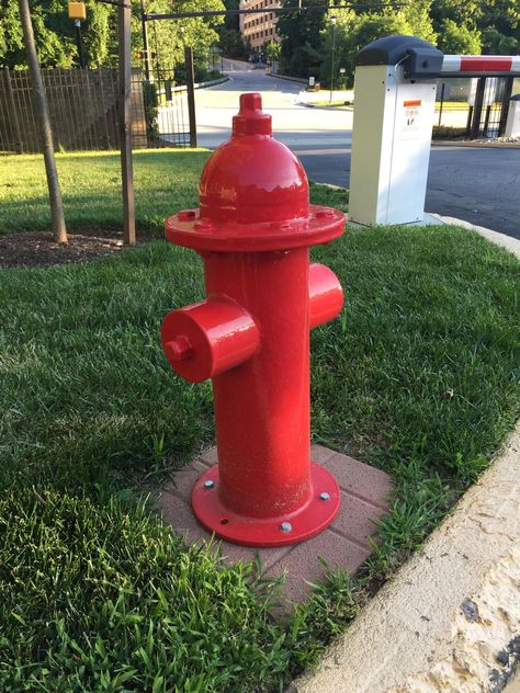 This fake fire hydrant made for dogs to pee on Diy Fire Hydrant For Dogs, Fire Hydrant Landscaping Ideas, Fire Hydrant Craft, Dog Fire Hydrant, Dog Bed Sewing Pattern, Fire Hydrant System, Fire Decor, Roger Guedes, Fake Fire