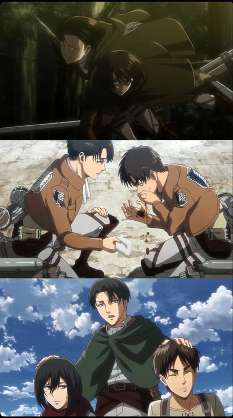 Family Guy Stewie, Levi Mikasa, Eren Aot, Attack On Titan Aesthetic, Animes To Watch, Captain Levi, Attack On Titan Funny, Attack On Titan Levi, Attack On Titan Art