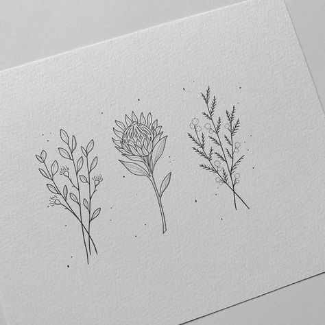 Australia Tattoo, Mum Tattoo, Africa Tattoos, Australian Tattoo, Native Tattoos, Australian Wildflowers, Bouquet Tattoo, Wildflower Tattoo, Flower Line Drawings