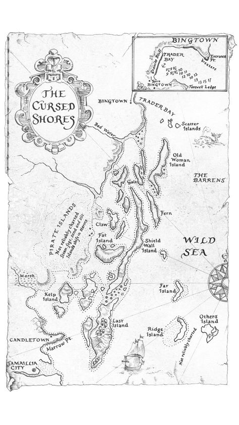 In-book map of The Cursed Shores from Robin Hobb's 'Ship of Magic (Liveship Traders, Book 1)'. Ship Of Magic Robin Hobb, Liveship Traders Art, Liveship Traders, Whisky Logo, Maps Drawing, Book Maps, Farseer Trilogy, Rpg Items, Robin Hobb