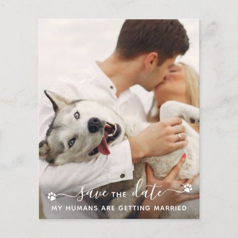 Budget Custom Pet Photo Dog Wedding Save The Date #zazzle #weddinginvitations #birthdayinvitations #babyshowerinvitations #zazzleinvitations #monogram #businesscards #graduation #homedecor Save The Date With Dog, Save The Date Dog, Pet Wedding Ideas, Pet Announcement, Funny Save The Date, Dog Wedding Bandana, Funny Save The Dates, Wedding Invitation Website, Colorado Ranch