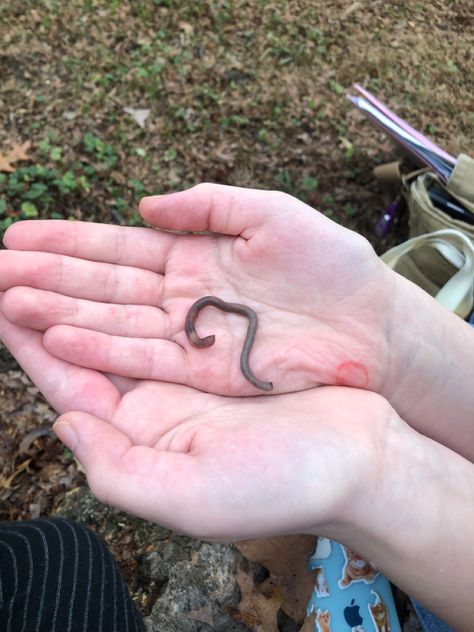 my friend tatum holding a worm :) Muddy Hands Aesthetic, Hands In Dirt, Tatum Core Aesthetics, Tatum Core, Carson Core, Worms Aesthetic, Kai Core, Summer Visionboard, Worm Aesthetic